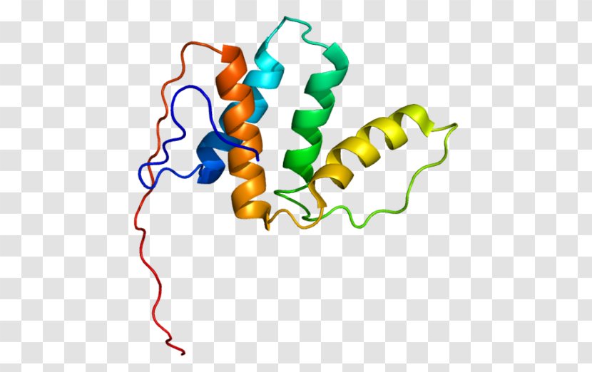 PECI Enoyl CoA Isomerase Enzyme Gene - Tree - Enzymes Ornament Transparent PNG