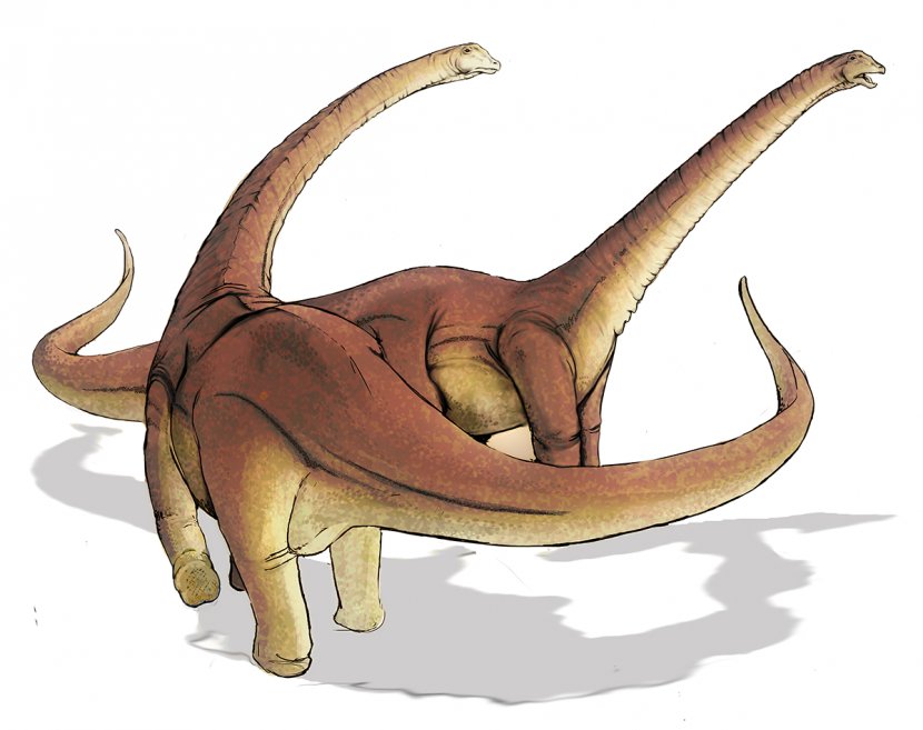 Alamosaurus Dinosaur Size Spinosaurus Baryonyx Argentinosaurus Transparent PNG