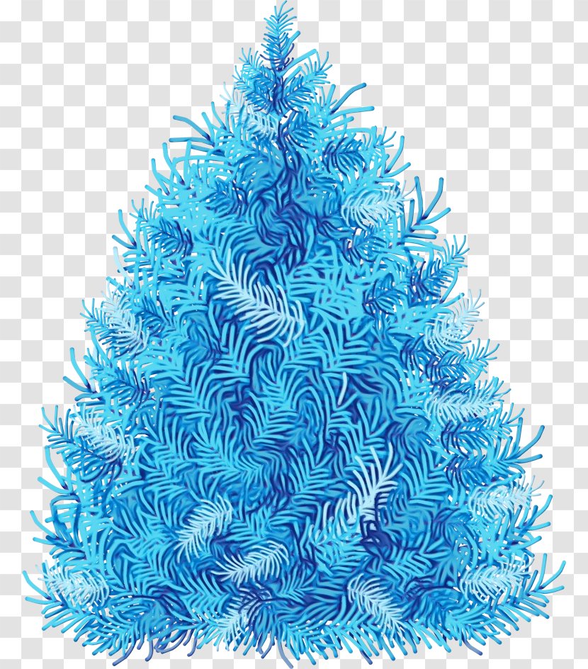 Christmas And New Year Background - Turquoise - Evergreen Cypress Family Transparent PNG
