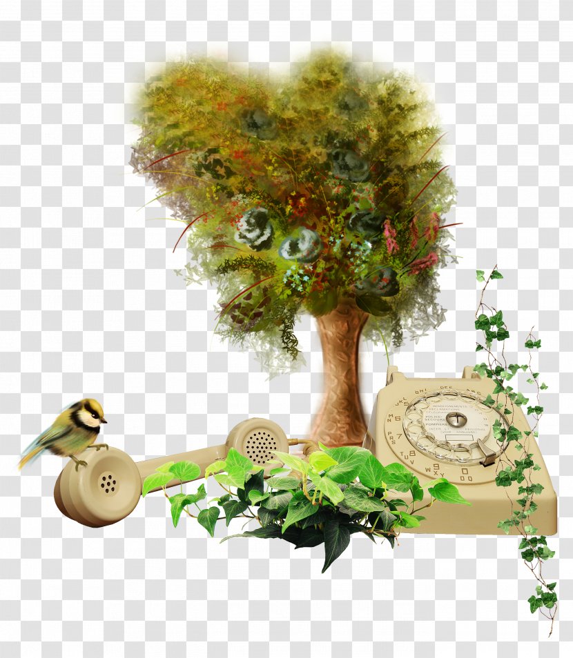 Tree Clip Art - Branch - Phone Transparent PNG