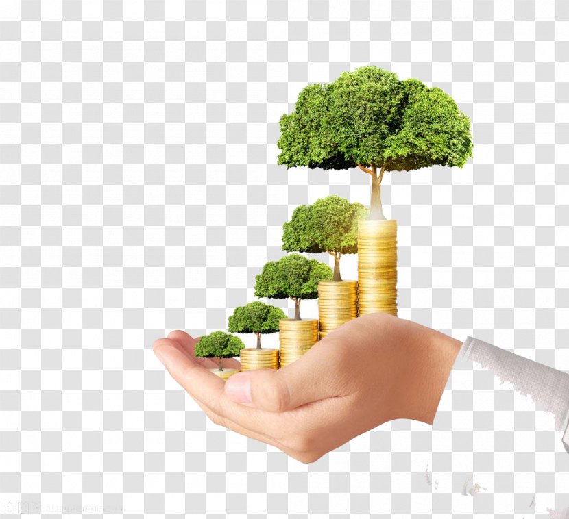 Money Investment Finance Business Bank - Investor - Hand Made Fortune Tree Gold Coin High-definition Deduction Material Transparent PNG