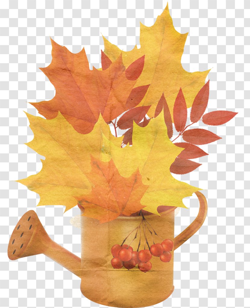 Autumn Leaf Color - Photography - Maple Decorative Kettle Transparent PNG