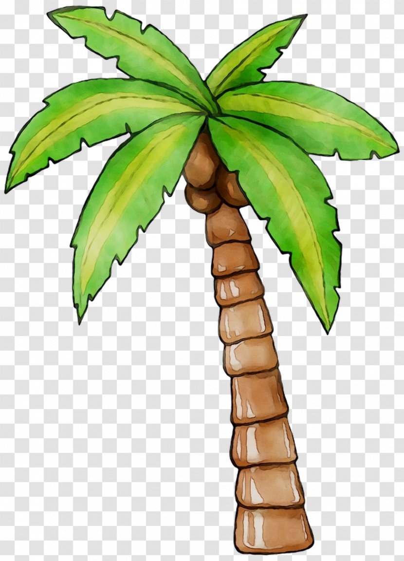 Coconut Palm Trees Leaf Plant Stem Plants - Flowerpot Transparent PNG