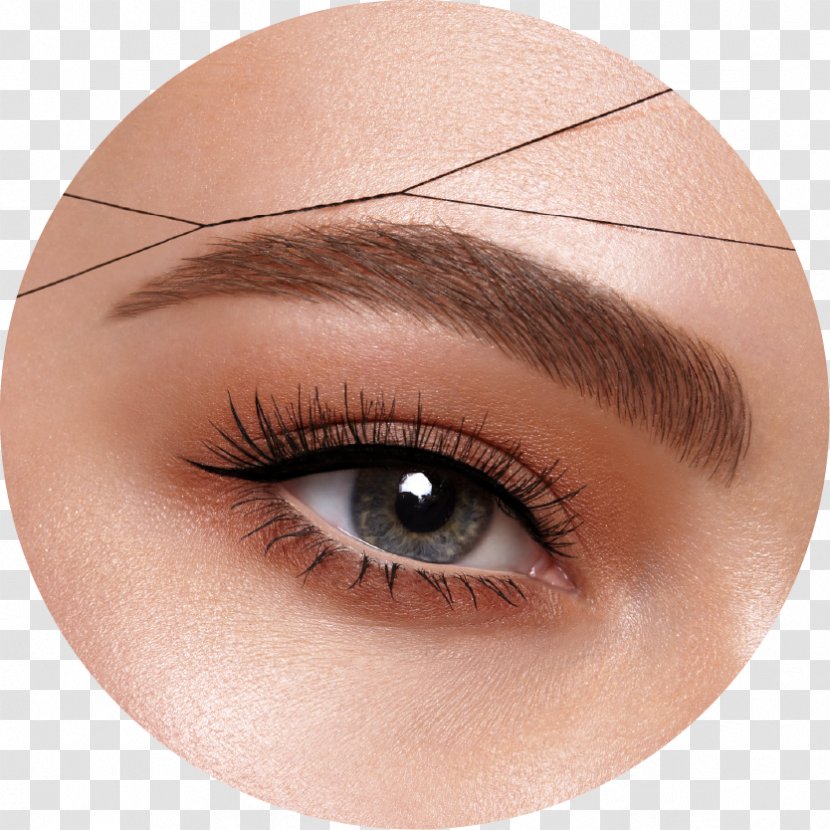 Eyelash Extensions Eyebrow Beauty Parlour Hair Threading - Face Transparent PNG