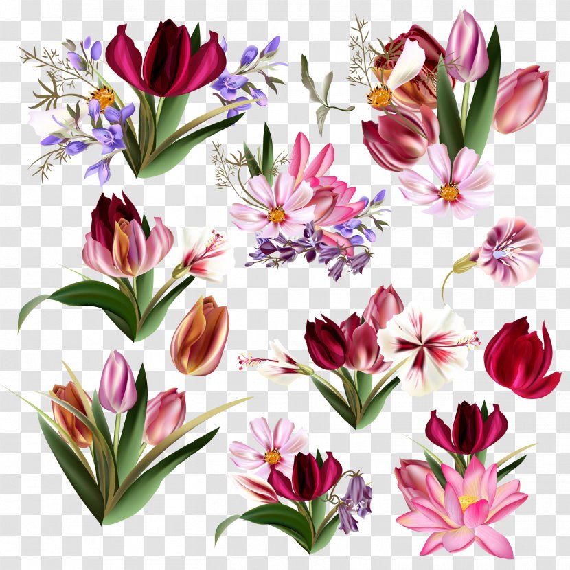 Floral Design Tulip Flower - Flowering Plant - Vector Tulips Transparent PNG
