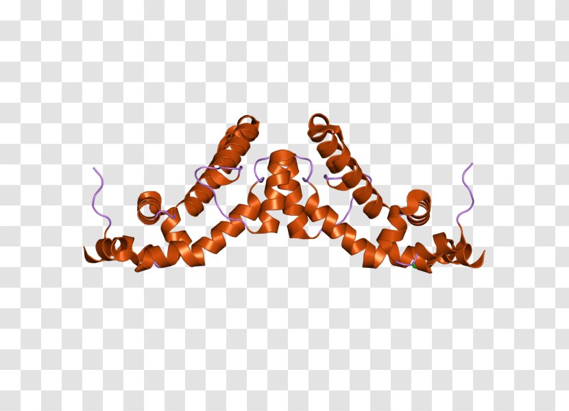 Rgs7 Regulator Of G Protein Signaling Gene - Wikipedia - Ebi Transparent PNG