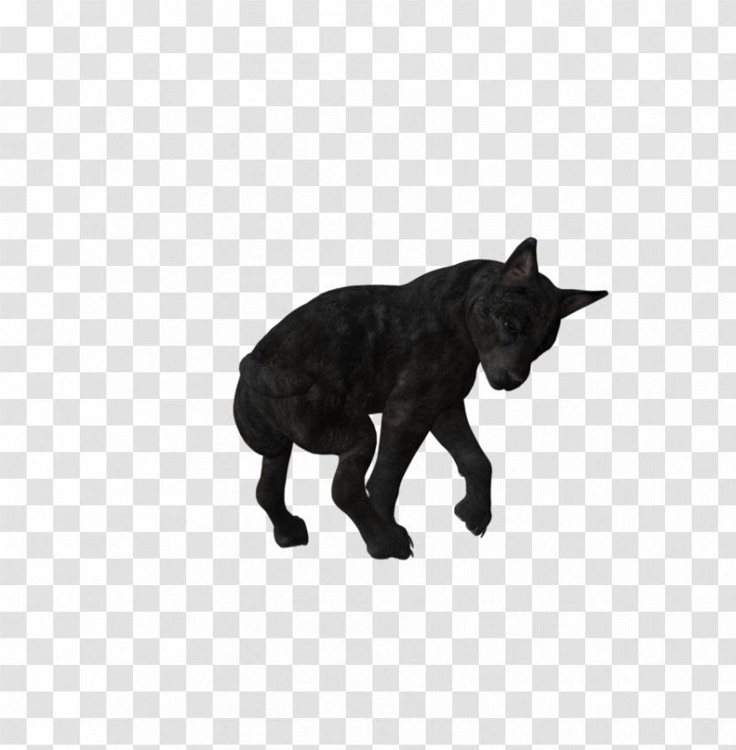 Dog Puppy Black Wolf Canidae - Like Mammal Transparent PNG
