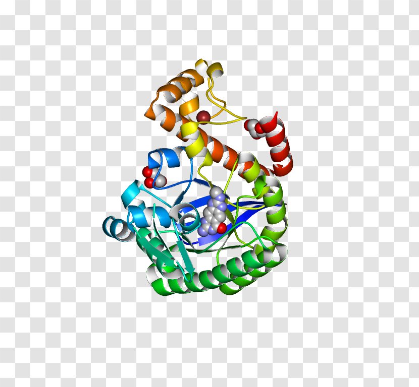 Body Jewellery Line Clip Art Transparent PNG