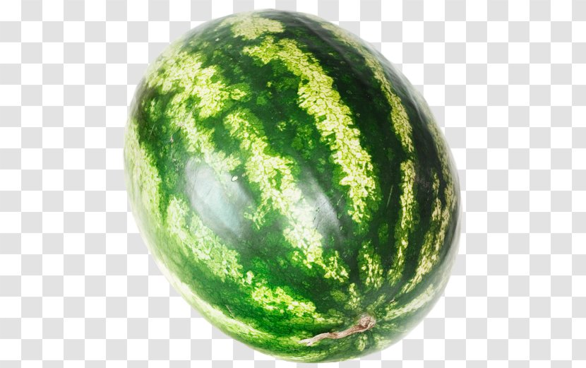 Watermelon Citrullus Lanatus Fruit - Melon Transparent PNG