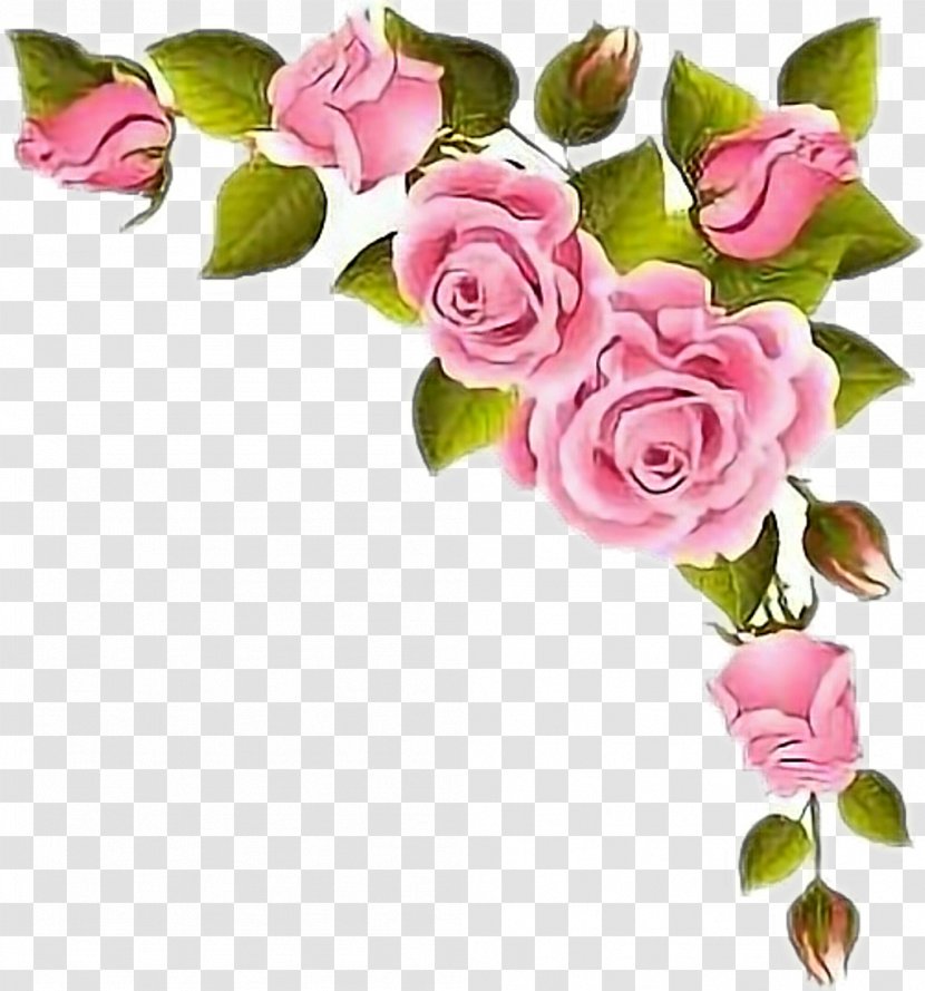 Rose Pink Flower Bouquet Wedding - Floribunda - Blackandwhite Watercolor Transparent PNG