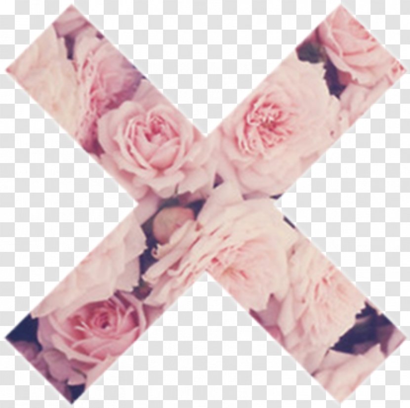 Desktop Wallpaper Roses Flower Pink - Petal - Rose Transparent PNG
