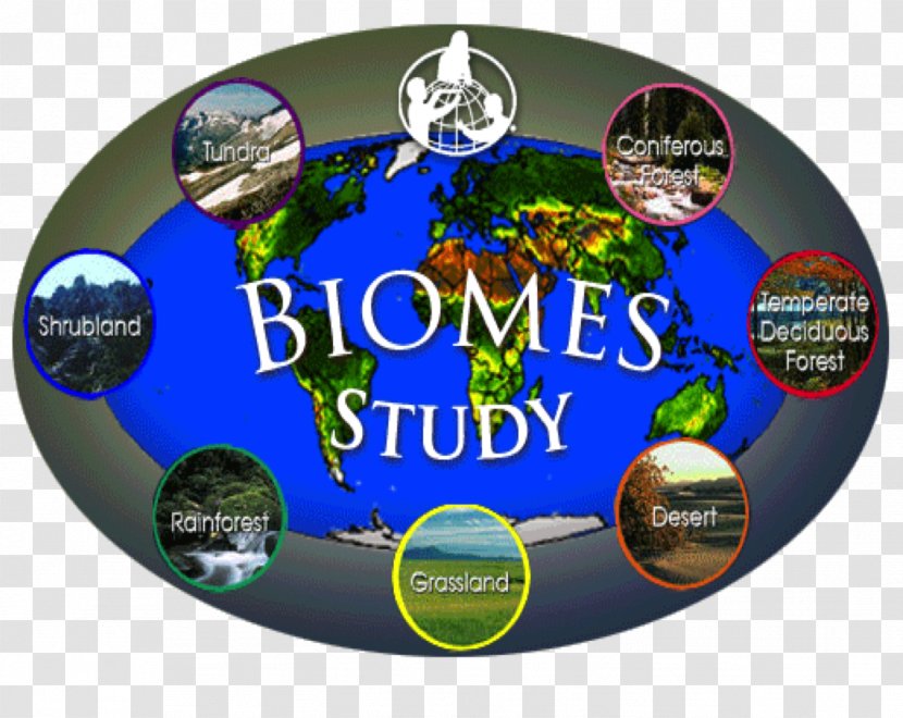 Biome Temperate Grasslands, Savannas, And Shrublands Aquatic Ecosystem Ecology - Grasslands Savannas Transparent PNG