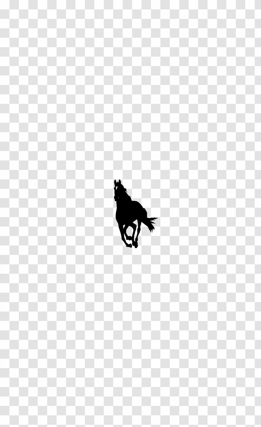 Horse Gallop Black Logo Silhouette - Beak Transparent PNG