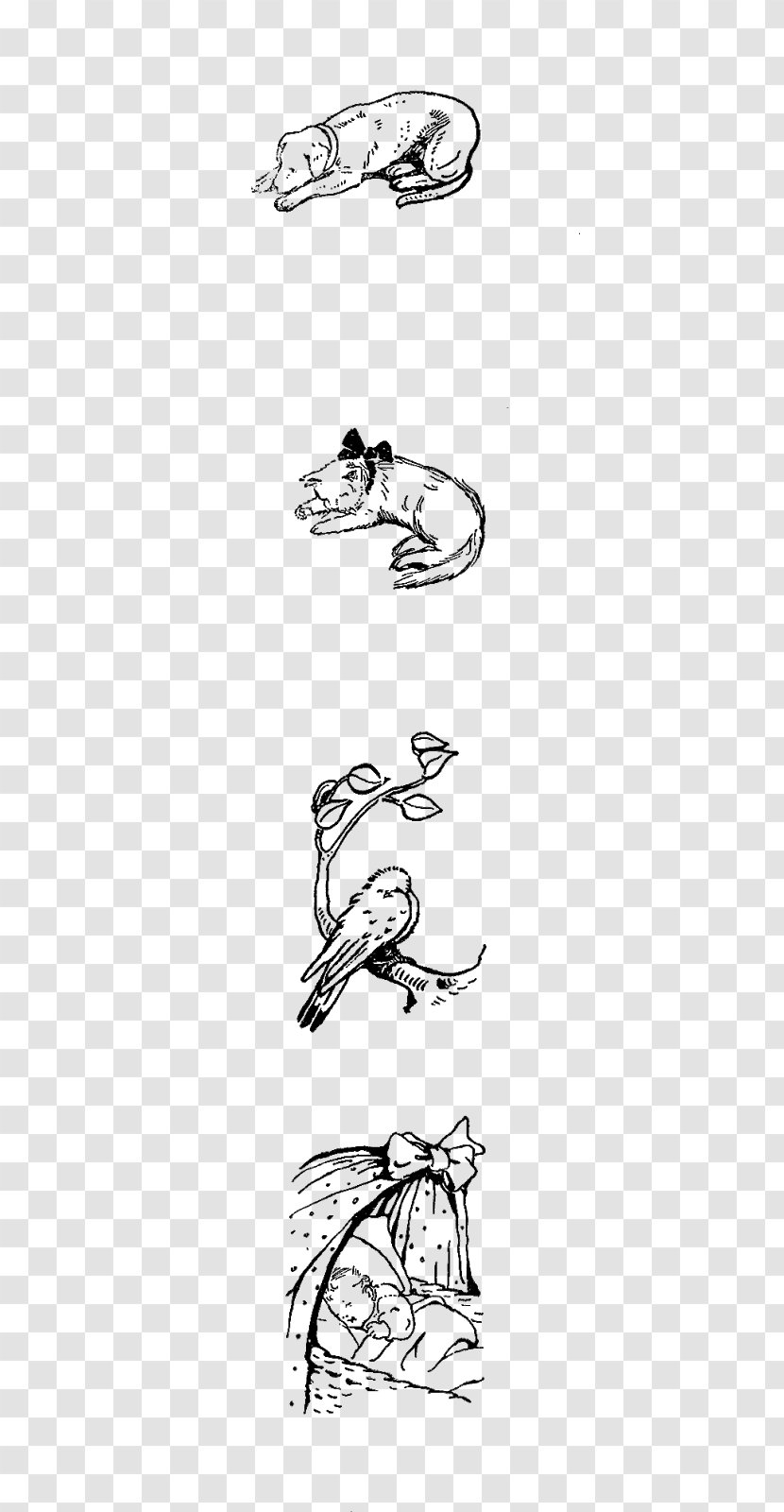 Line Art Cartoon Sketch - Vertebrate - Sleeping Animal Transparent PNG