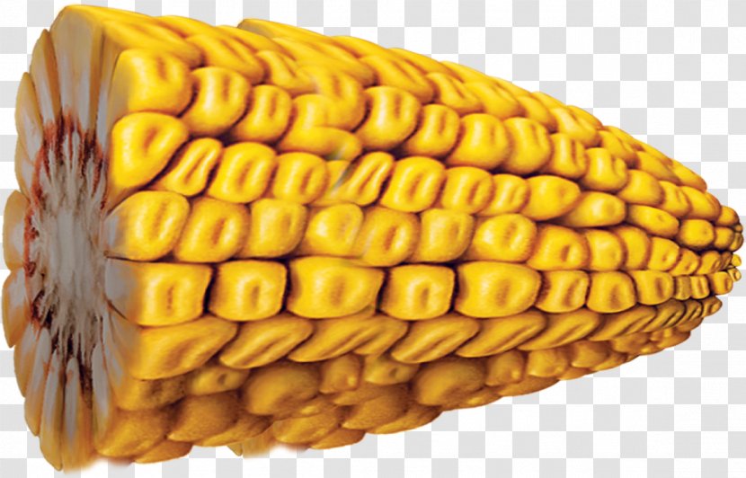 Finance Corn On The Cob Maize Money Credit - Food Import Transparent PNG