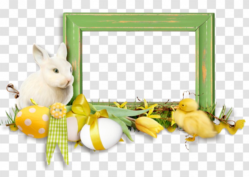 Domestic Rabbit Easter Bunny Hare Picture Frames Transparent PNG