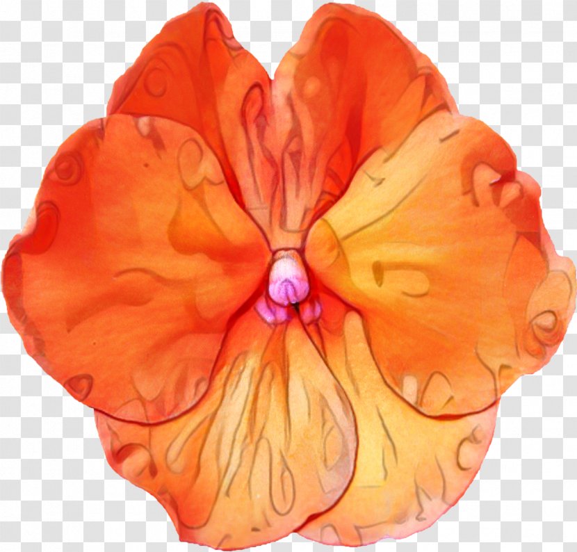 Flowers Background - Hair Accessory - Morning Glory Impatiens Transparent PNG