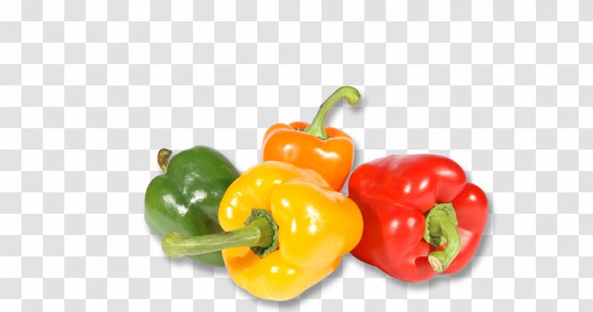 Paprika Stuffed Peppers Bell Pepper Chili Vegetable - Nightshade Family Transparent PNG