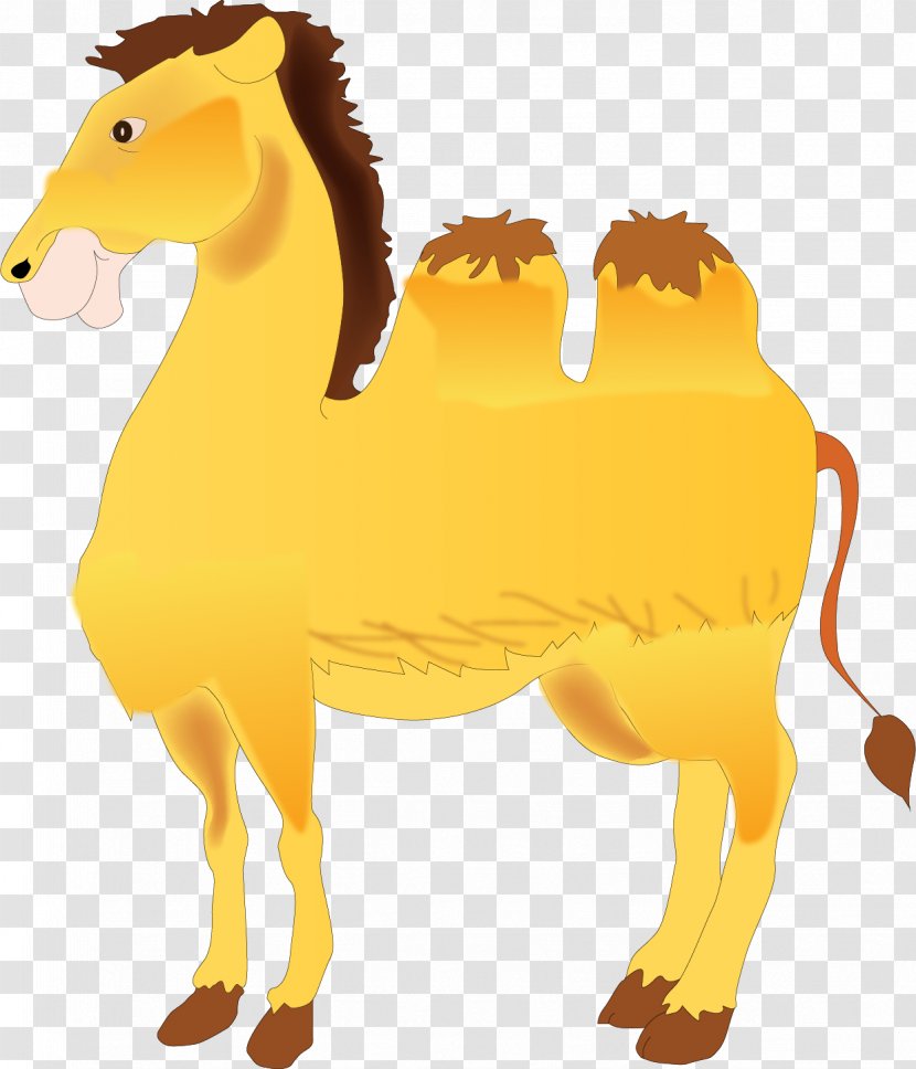 Camel Drawing Clip Art - Mane - Vector Painted Transparent PNG