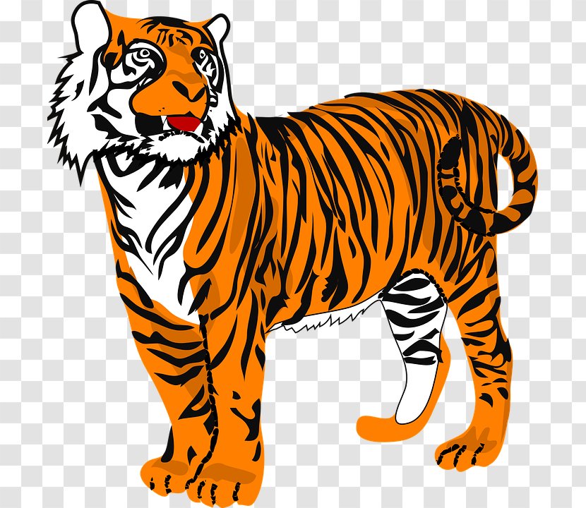 Clemson University Bengal Tiger Clip Art - Carnivoran - Big Cats Transparent PNG