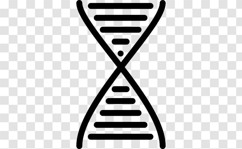 DNA Nucleic Acid Double Helix - Genetics - Science Transparent PNG