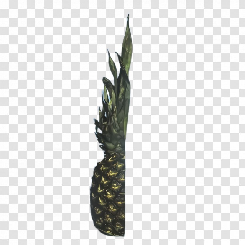 Pineapple - Flower - Alismatales Arum Family Transparent PNG