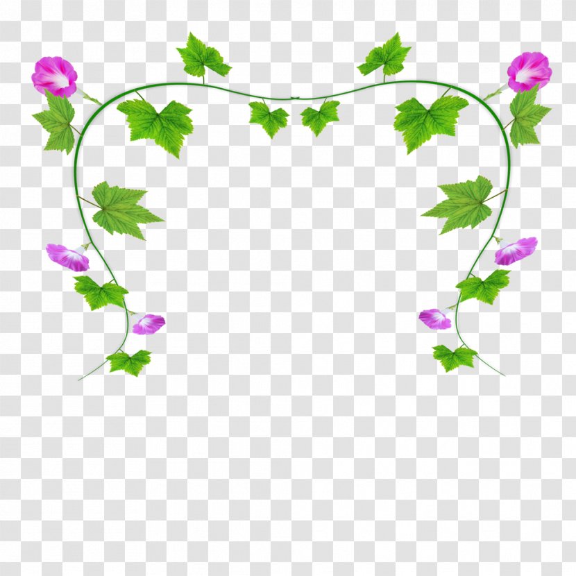 Ipomoea Nil Flower Clip Art - Frame - The Trumpet On Green Leaves Transparent PNG