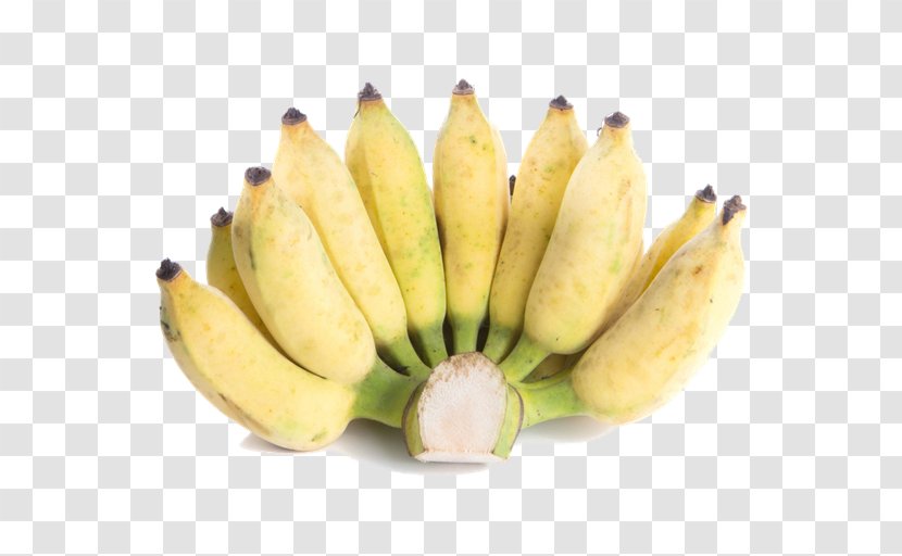 Saba Banana Cooking Lady Finger Pisang Awak - Cultivar Transparent PNG