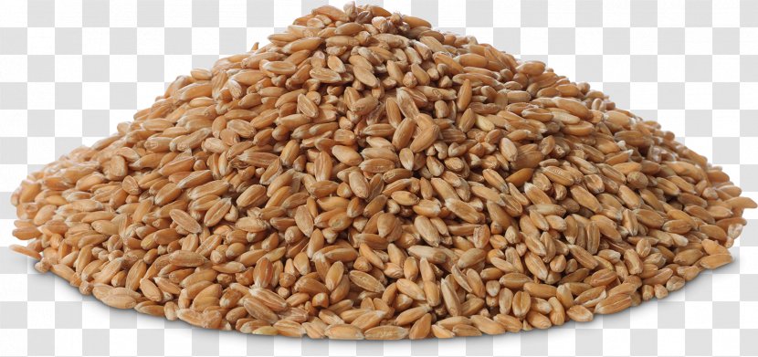Oat Cereal Germ Whole Grain Spelt - Dinkel Wheat Transparent PNG