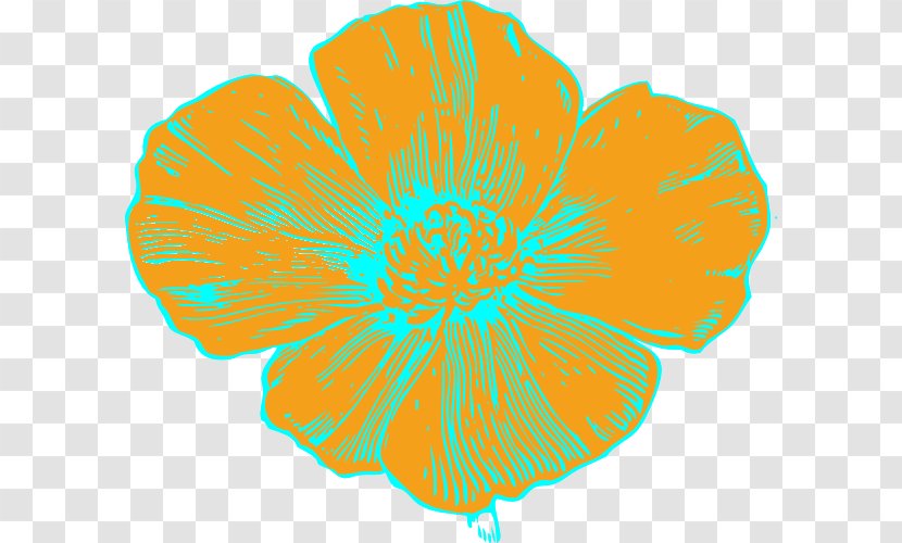 Flower California Poppy Clip Art - Color Transparent PNG