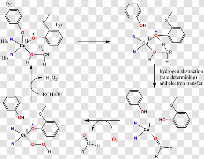 Diagram Line Organic Chemistry - Compound Transparent PNG
