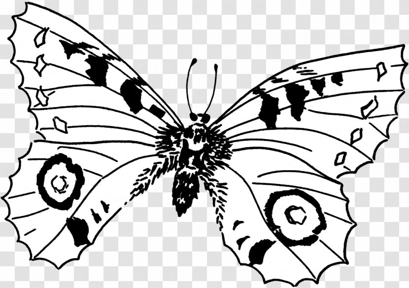 Monarch Butterfly Pieridae Brush-footed Butterflies /m/02csf - Line Art - Plantain Herb Uses Books Transparent PNG