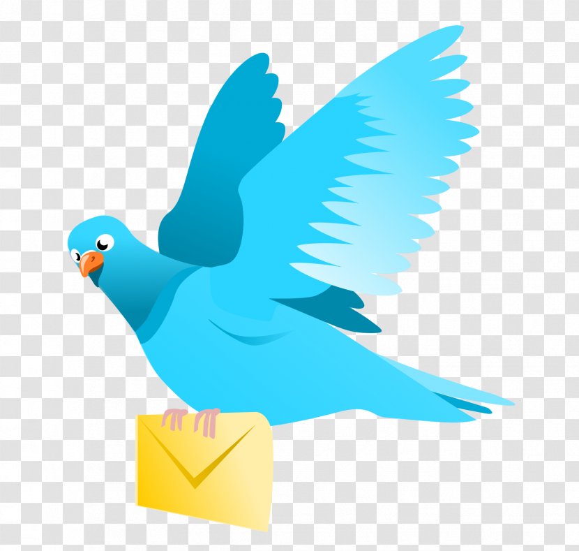 English Carrier Pigeon Homing Columbidae Post Clip Art - Beak - Email Transparent PNG