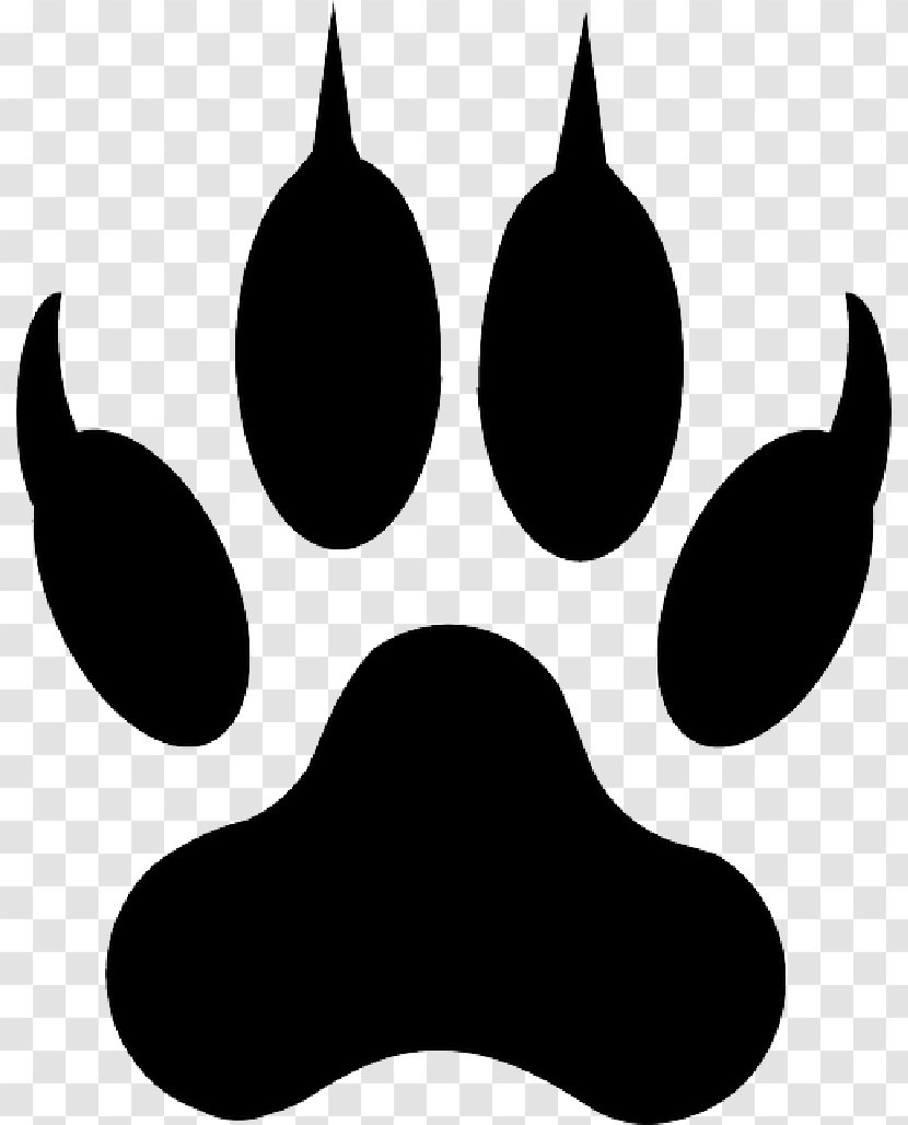 Lion Tiger Polydactyl Cat Liger Clip Art - Black Transparent PNG