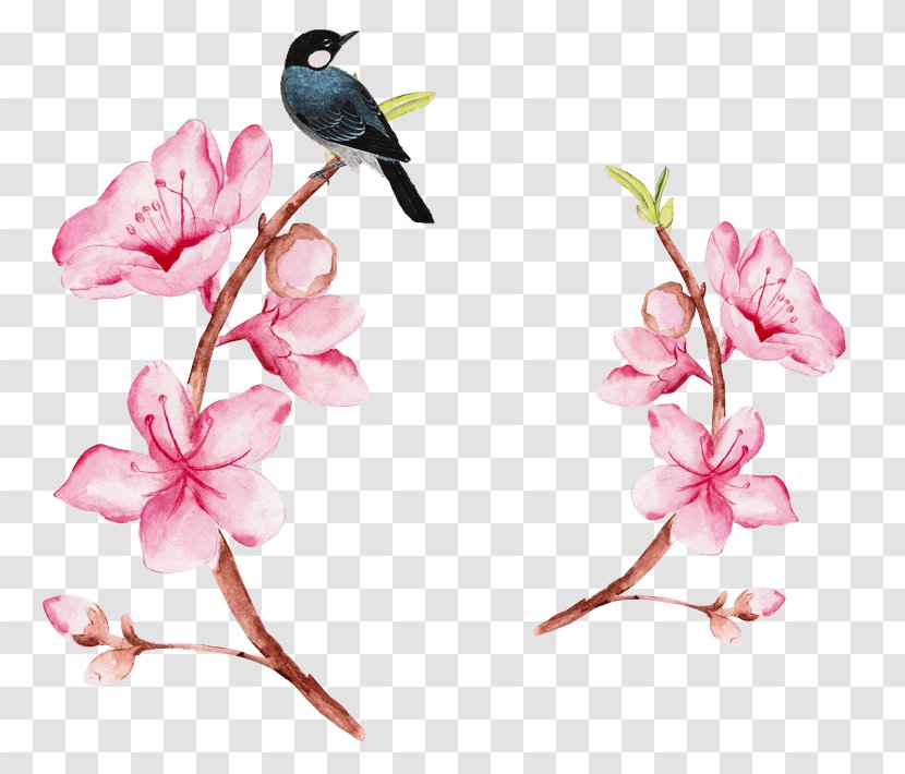 Image Watercolor Painting Download - Twig - Magpie On Branch Transparent PNG