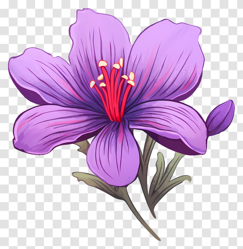 Purple Flower - Beautiful Purple Flower Illustration Transparent PNG