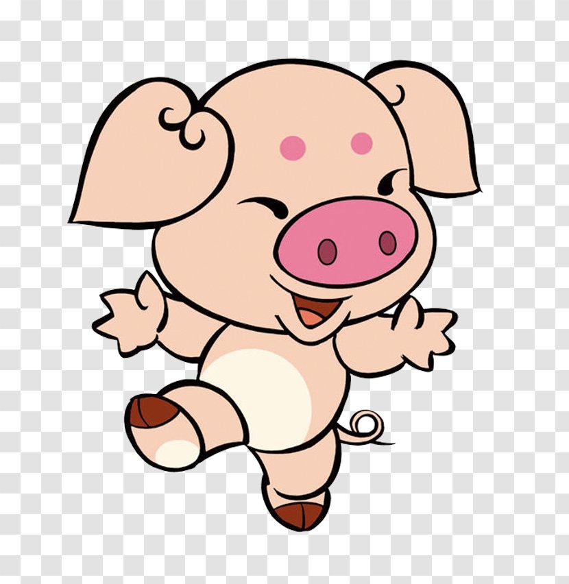 Domestic Pig Cochon De Bois Zi Wei Dou Shu Quxfd Hu1ee3i - Cartoon Transparent PNG