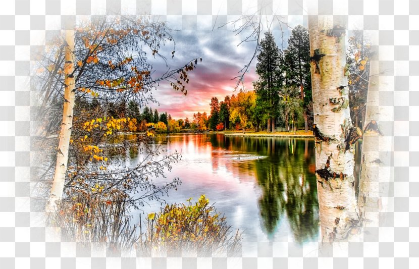 Desktop Wallpaper Aspect Ratio HVGA - Watercolor Paint - Natural Landscape Transparent PNG