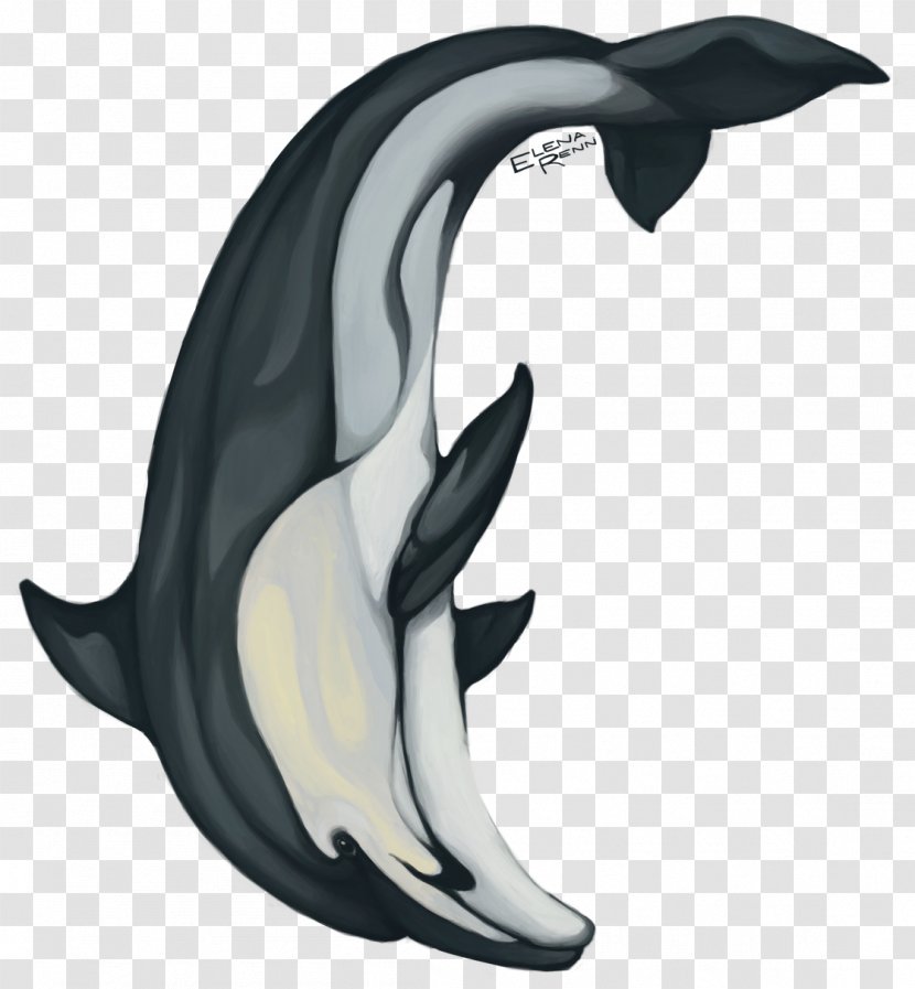 Dolphin Sticker Colored Pencil Cetacea Marine Mammal Transparent PNG
