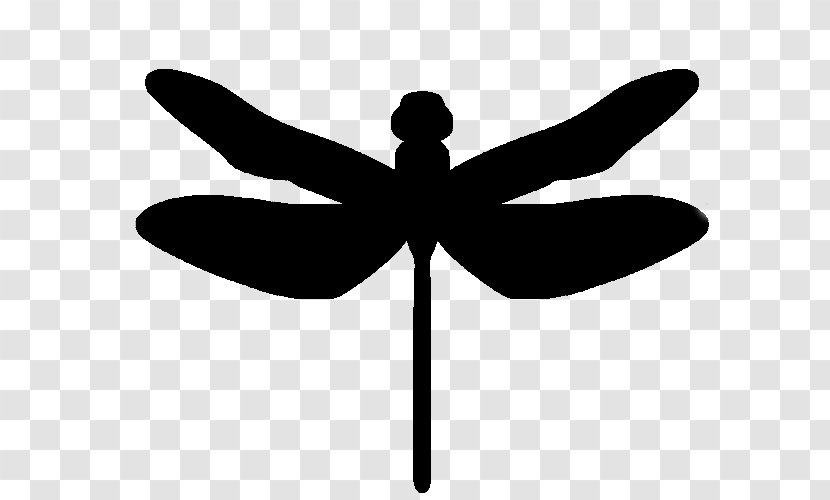 Silhouette Insect - Monochrome Photography Transparent PNG