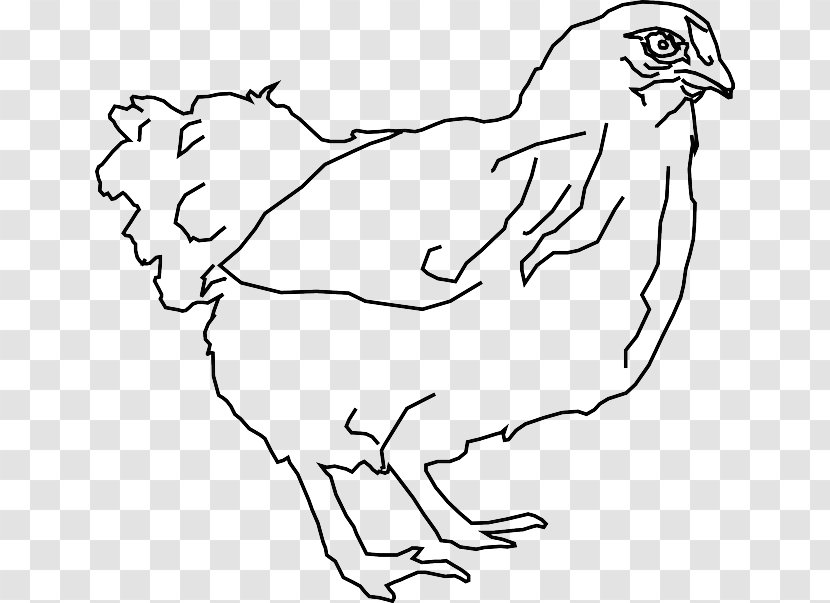 Silkie Drawing Line Art Chicken As Food Clip - Frame - Bird Transparent PNG