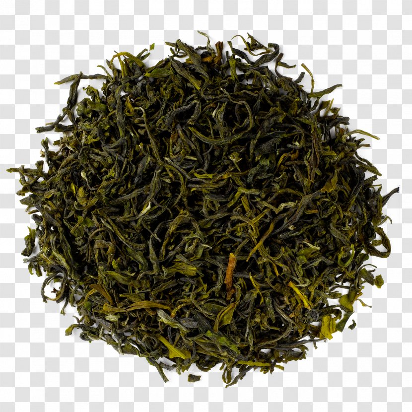 Hōjicha Gyokuro Green Tea Sencha - Baihao Yinzhen Transparent PNG