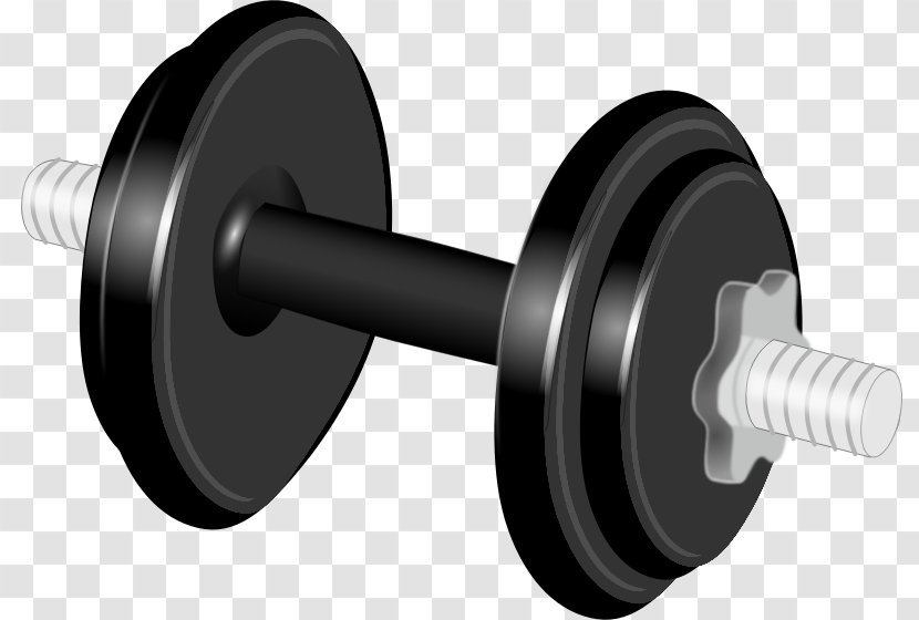 Dumbbell Barbell Weight Training Clip Art - Weights Transparent PNG