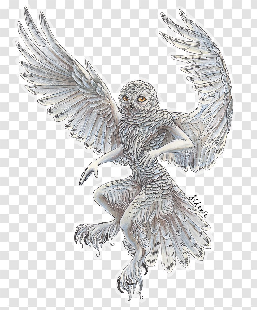 Snowy Owl Bird Drawing Barn - Feather - Flying Transparent PNG