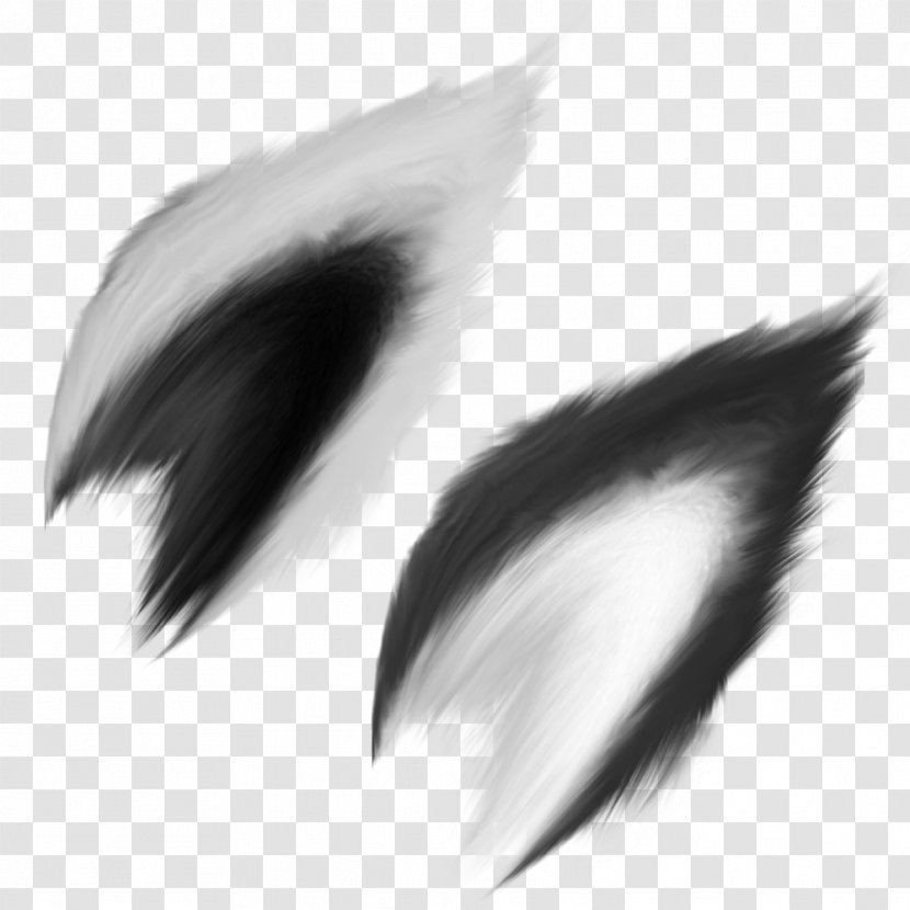 Gray Wolf Ear Drawing Art Clip - Ears Transparent PNG