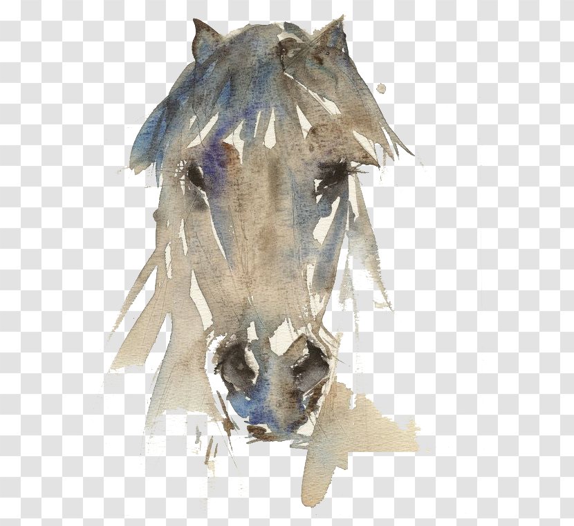 Horse Watercolor Painting Drawing Art - Illustrator - Ink Transparent PNG