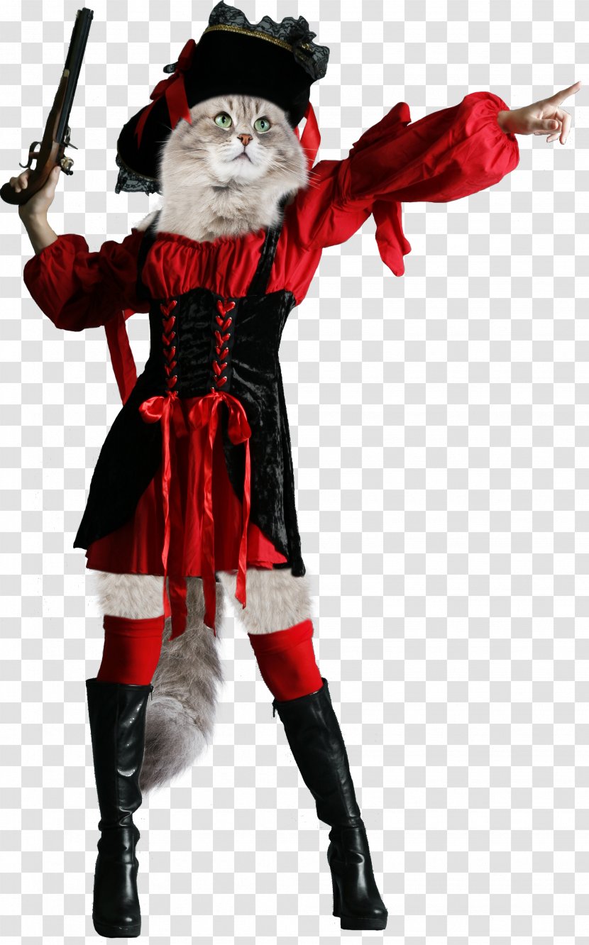 Santa Claus Christmas Ornament Costume Character - Pirate Transparent PNG