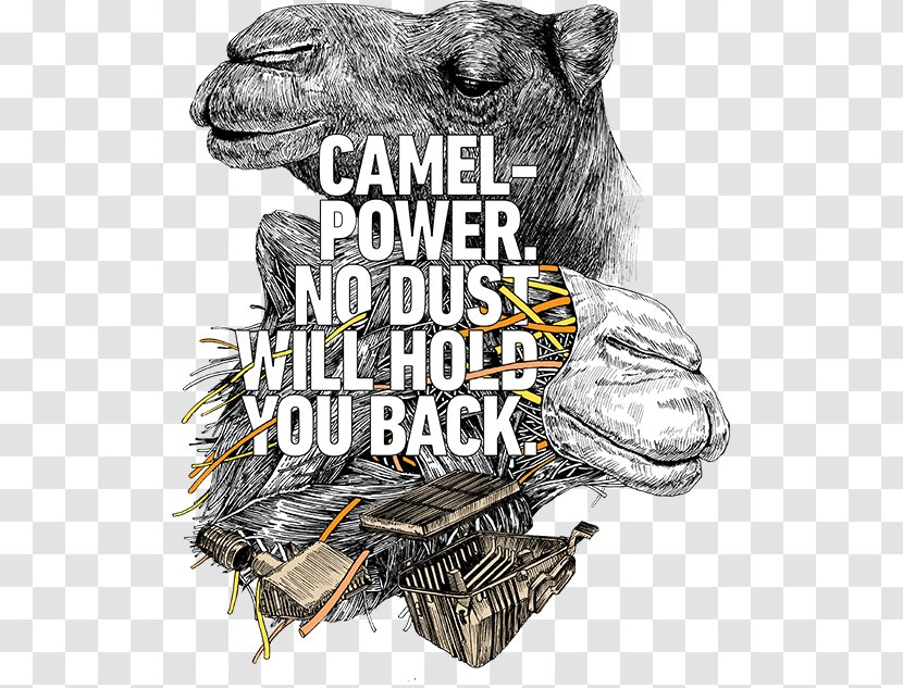 Camel Power Cannes Lions International Festival Of Creativity Advertising - Nissan - Sand Dust Transparent PNG