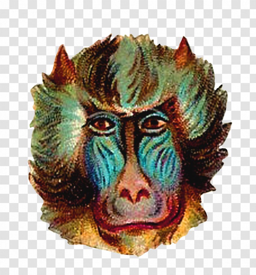 Mask Animal Monkey.digital Clip Art Transparent PNG
