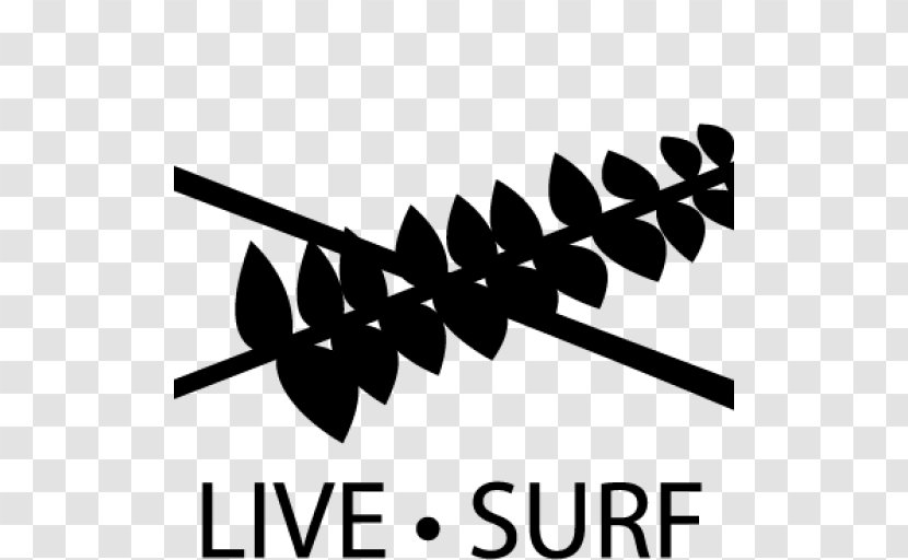 Real Surfing Photography Metro Manila Wave - Text - Surf Transparent PNG